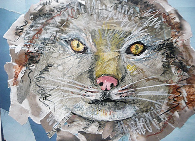 Snowcat portrait in collage