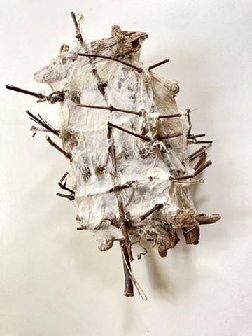 LESLEY HAAS Medium of Paper 