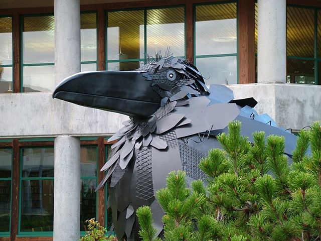 Raven detail