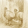 Concept sketches for Tom and Jake, animated short