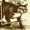 The Toughest Cat in the Bronx