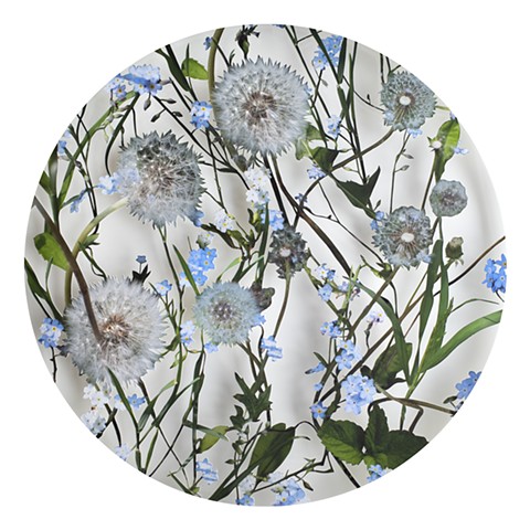 Dandion & Forgetmenot