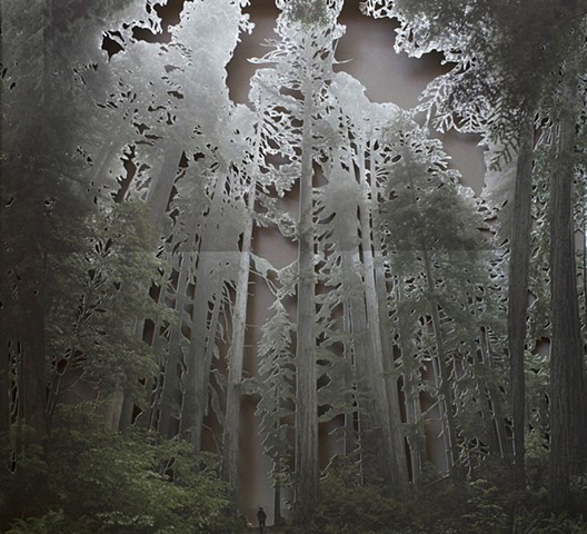 Redwood Park (SOLD)