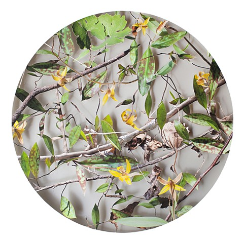 May (from the series 12 Seasons)SOLD