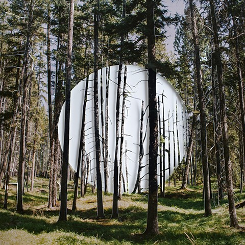 Forest Orb