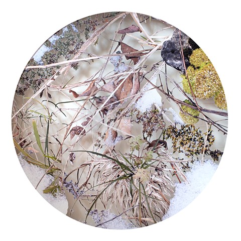 Winter Solstice