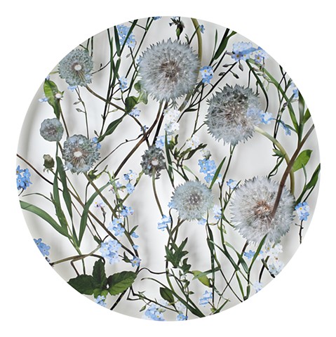 Dandion & Forgetmenot