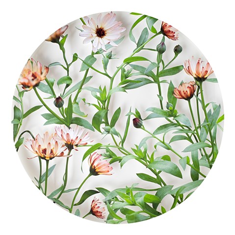 Bronze Calendula No. 1