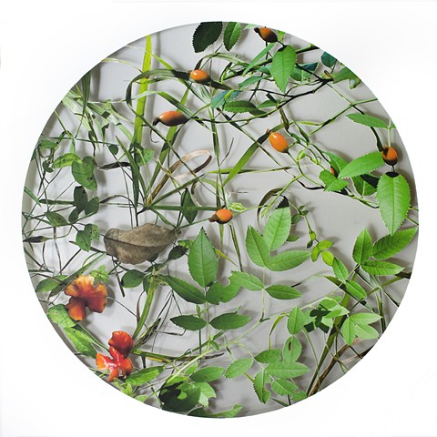 Autumn (SOLD)