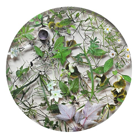 September (from the series 12 Seasons) SOLD