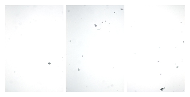 Splash Image
