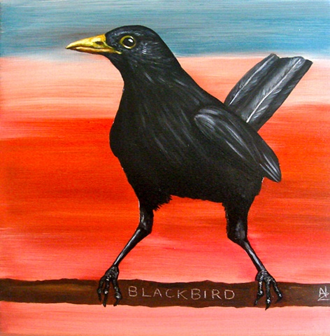 BLACKBIRD 