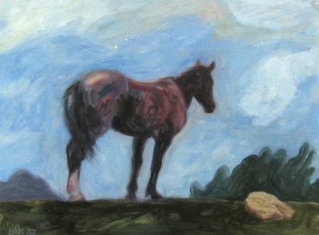 horse view