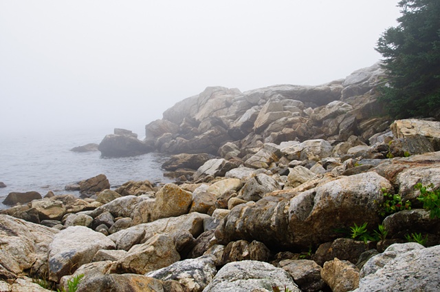 Maine Coast Fog