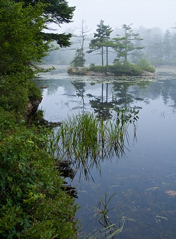 Appalachee Pond II
Maine