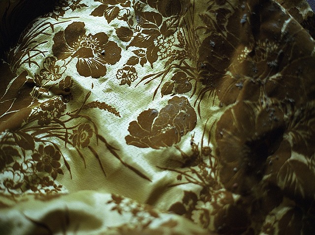 Allison Sexton (website under construction)