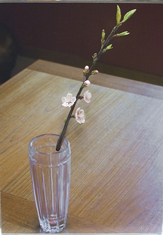 david willis glass art flamework botanical flowers