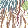 ILLUSTRATION/2010