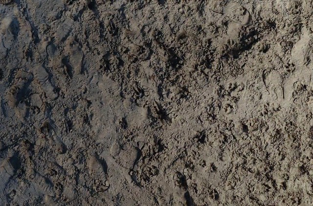 Ground Scan (sandy clods)