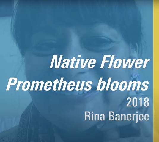 Native Flower, Prometheus Blooms