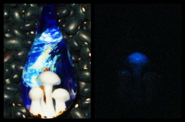 Triple  Mushroom Glow Pendant 
by Kristian Kohrs

