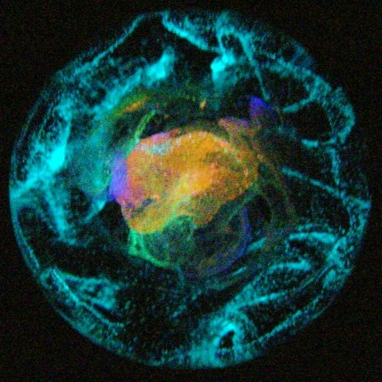 Splash Image