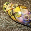 Medium Mandrel Bead 4