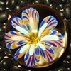 Sold Items / Gallery