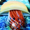 Joshua Mazet 
Jellyfish Pendant II