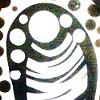 Contrast

Lucid Visions Glass Art