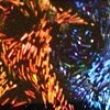 XL Dichro Bead 3

Anderson Coats