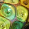 Anderson Coats 
2 XL Mandrel Bead 7