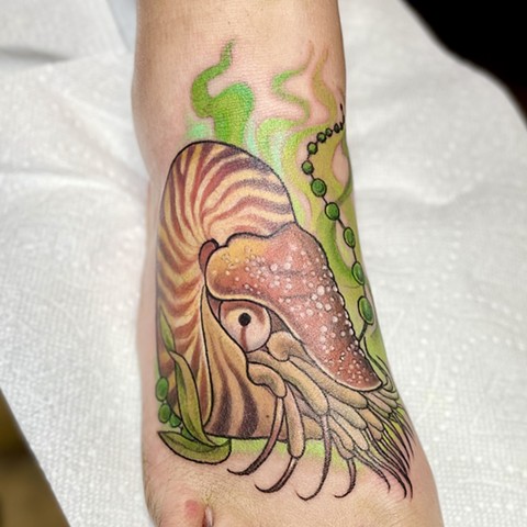 Laura Usowski, ct tattoo artist, female tattoo artist, connecticut tattoo, nautilus shell tattoo, foot tattoo