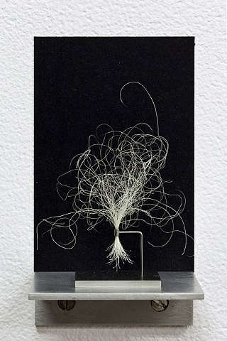 Sculpture made with one hundred white beard hairs