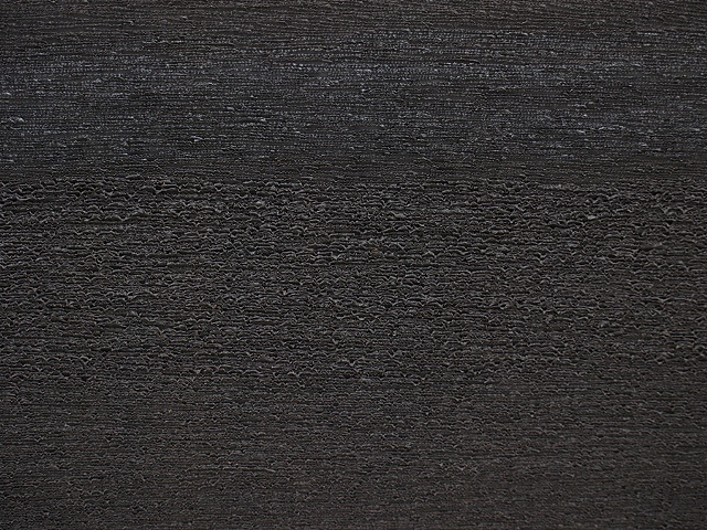 the contemplation of Gaylen Gerber's advice (detail)