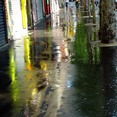 Paris Streets: Rain 8