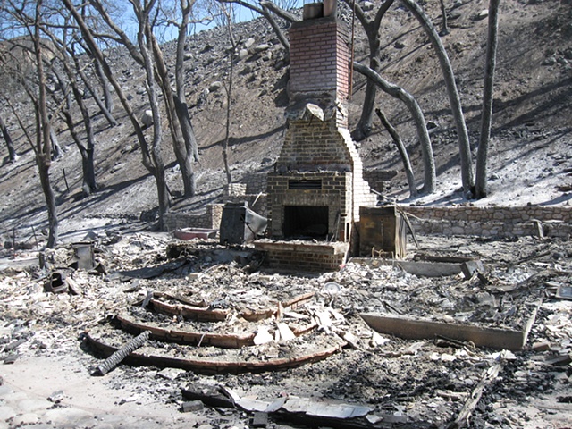 After the Station Forest Fire