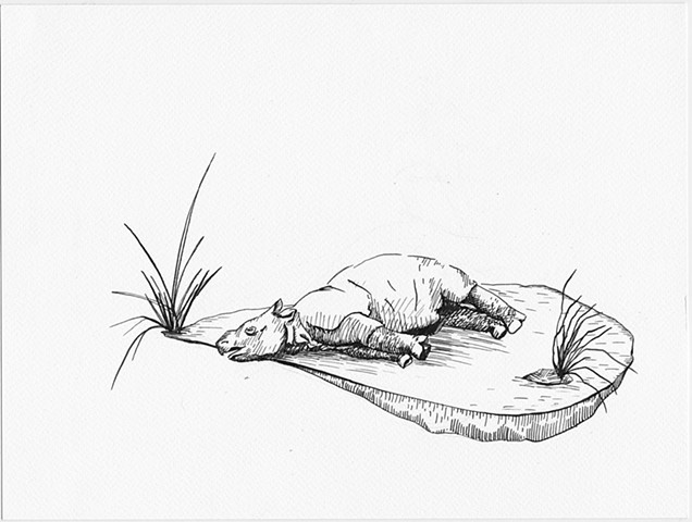 Study for Java Toile (Hunted Baby Rhino, 1904)
