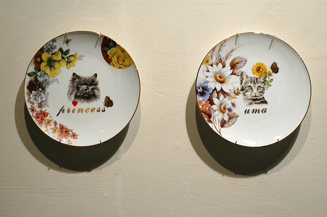 pussy plates, detail
