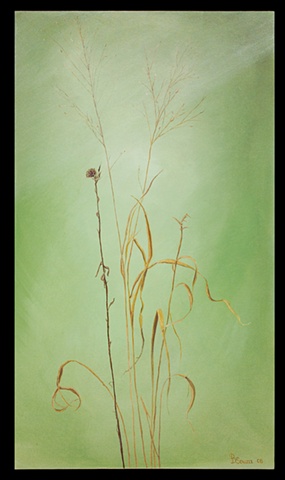 Oil on canvas/ fall grasses and weeds