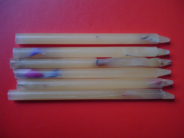 3 botanicals that the artist spliced into 6 new specimens then cast into beeswax crayons. 