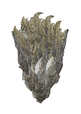 Fool's Gold Shard II