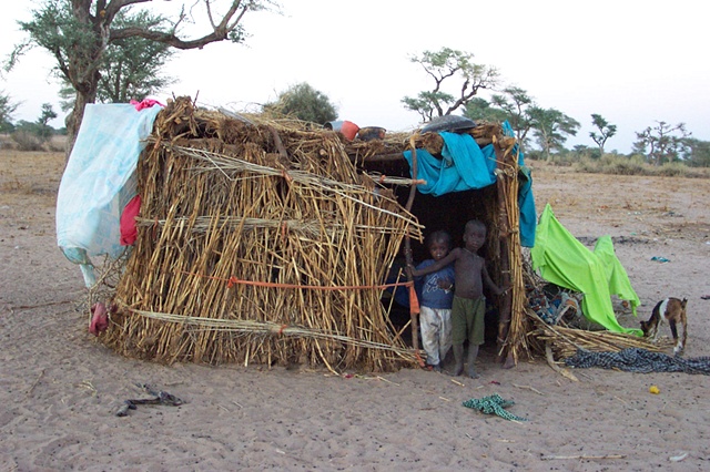 Tiny nomad hut