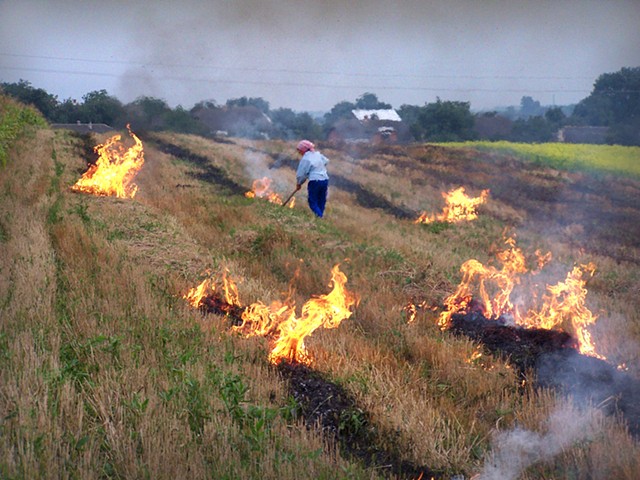 Burning field