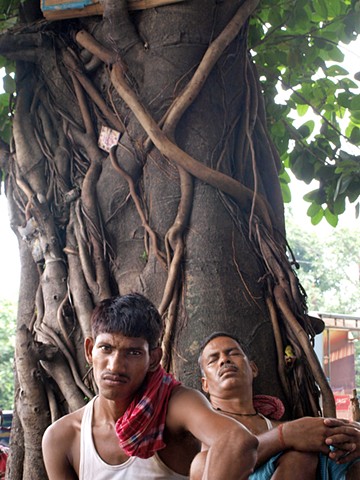 Men under tree, Kolkata