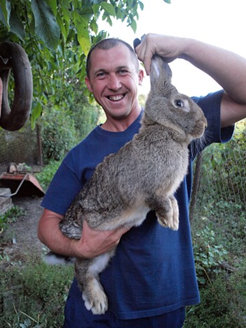 Showing off a large meat rabbit