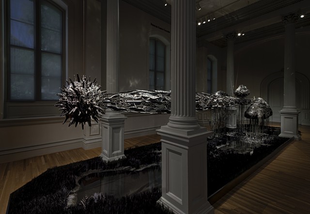 Forces of Nature Opens at The Renwick Gallery of the Smithsonian American Art Museum 