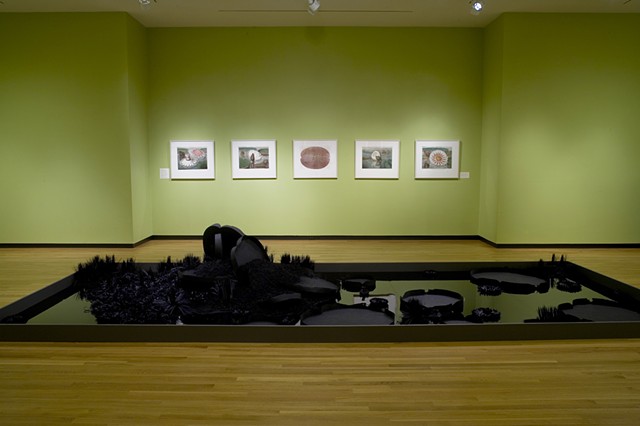 Lauren fensterstock Installation at Bowdoin College Museum of Art, 2008 