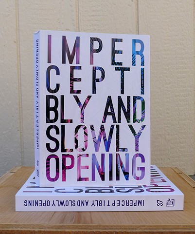 Imperceptibly and Slowly Opening (Green Lantern Press, Chicago, 2016) 