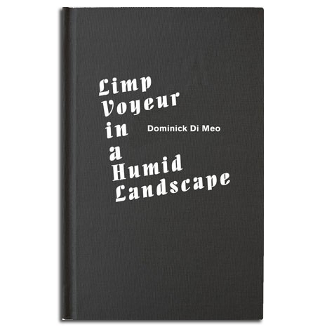 Dominick Di Meo: Limp Voyeur in a Humid Landscape (Corbett vs. Dempsey, 2013)